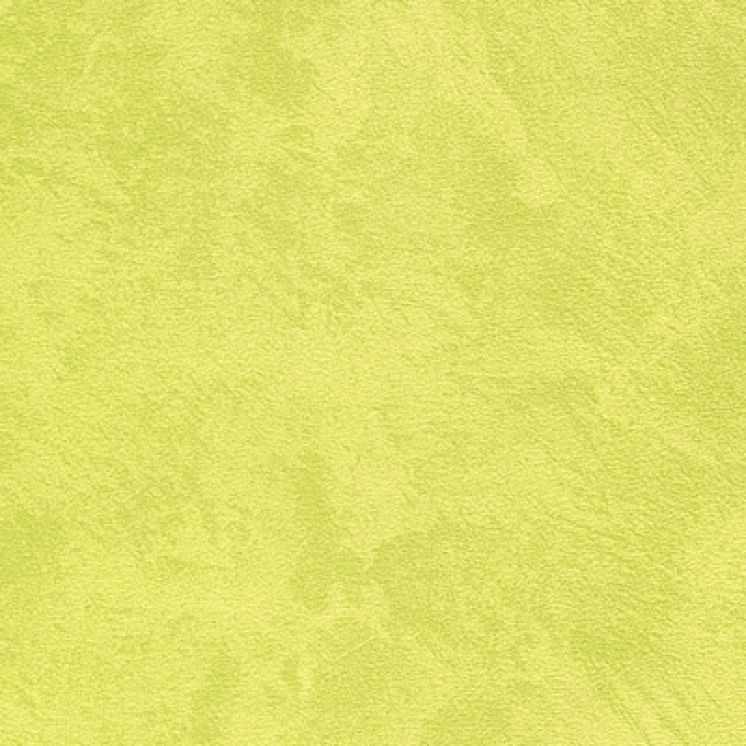 Espatula Verde Agua