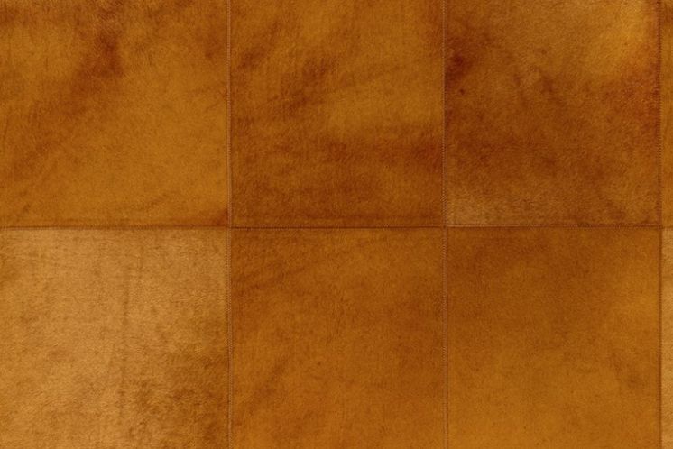Rectangle 33505