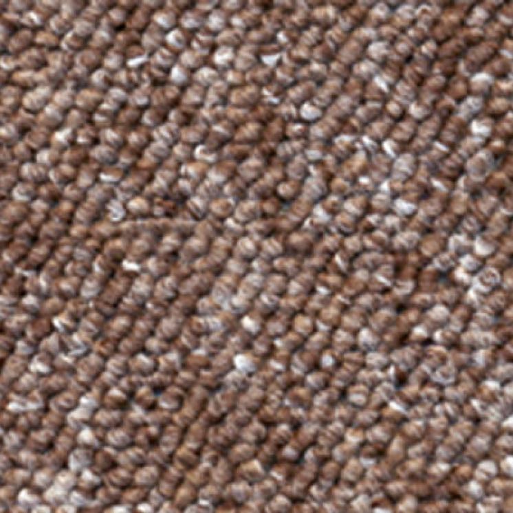 SPEED DARK BROWN