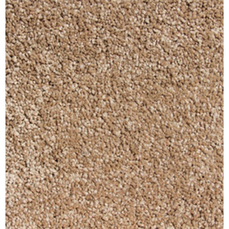 Sheer Ecstasy Italian Suede
