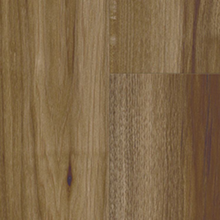 Hickory 1ST P80070 HG