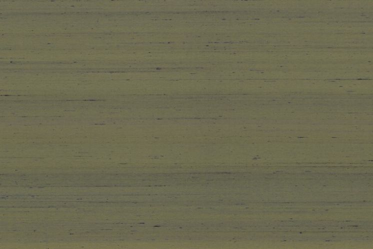 Dupion 87203