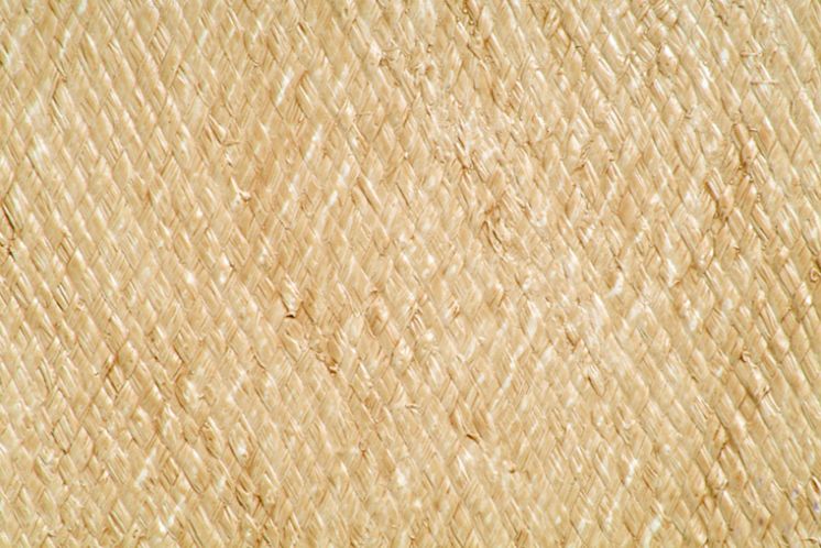 Raffia - Almendro