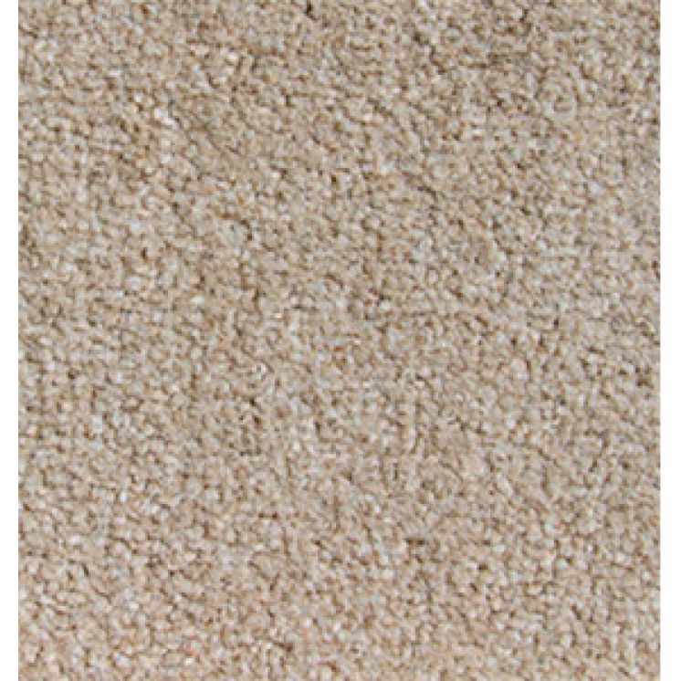 Revolution Beige