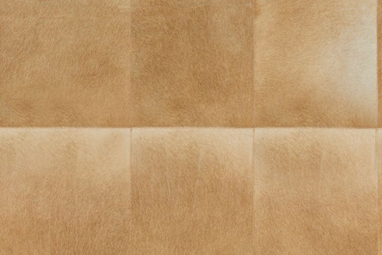 Rectangle 33511