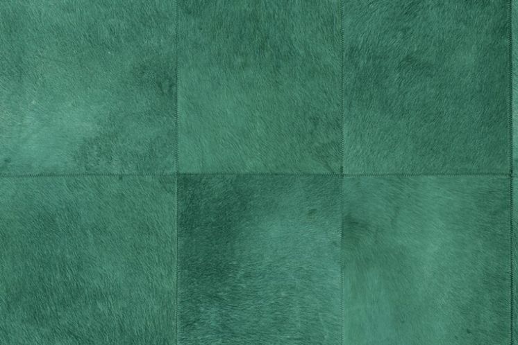 Rectangle 33503