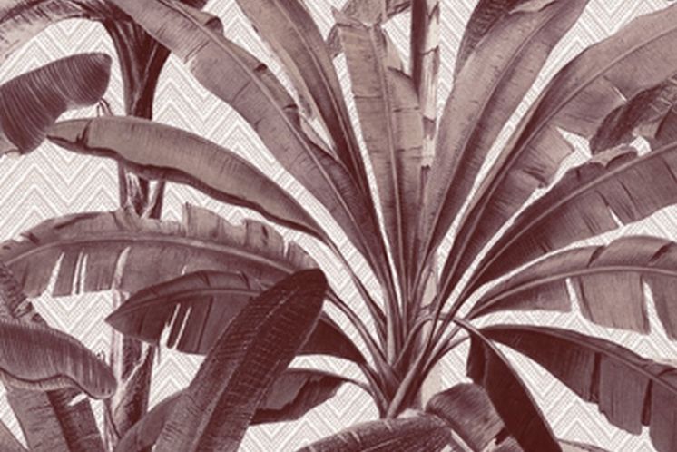 Palmera 11141