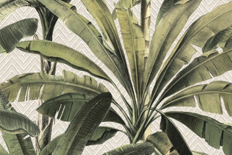 Palmera 11140