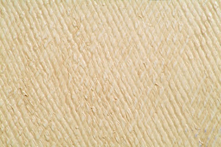 Raffia - Beige