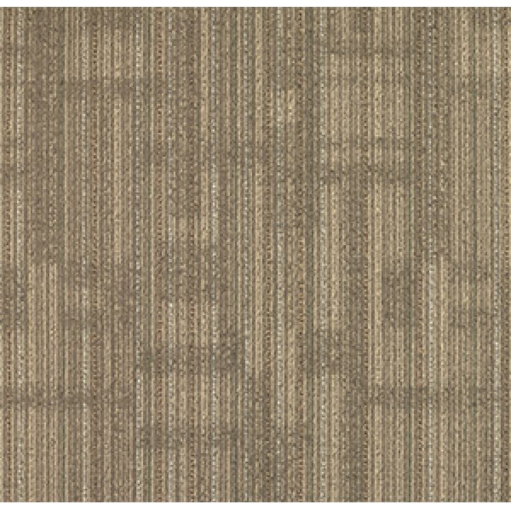 Transparent Beige
