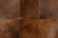 Rectangle 33510