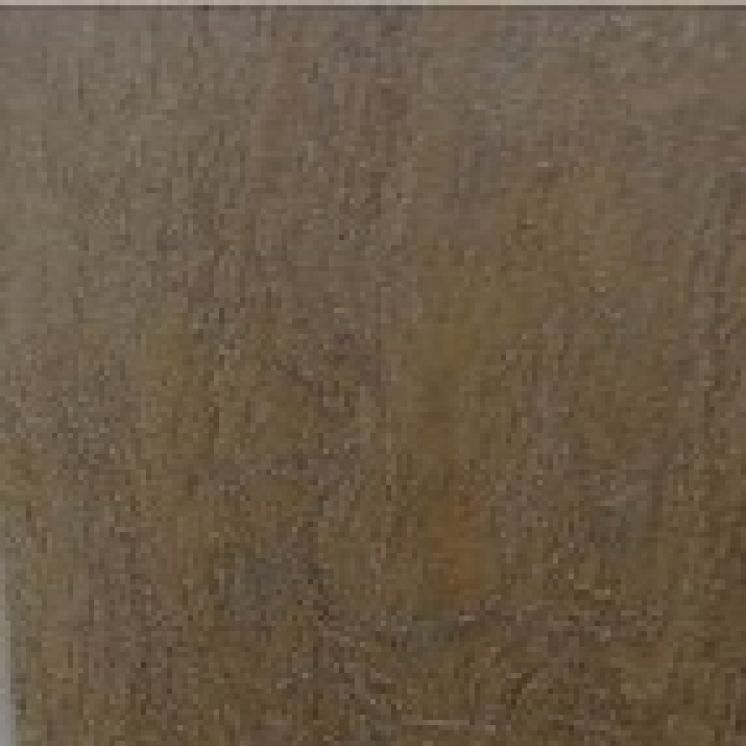 Articwood Camel