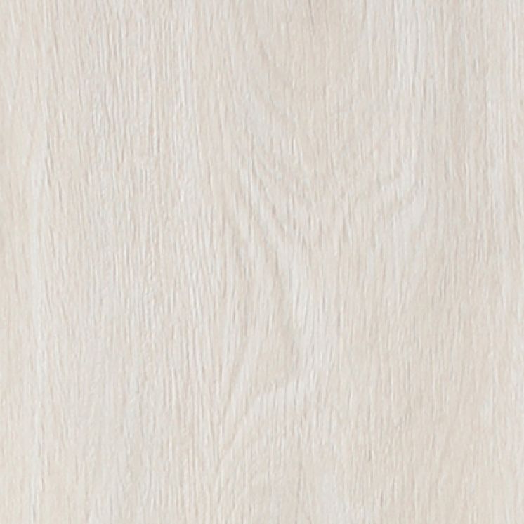 Civic 8,3 mm Cream