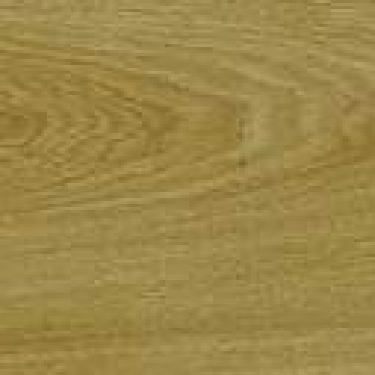 Spreewald Oak