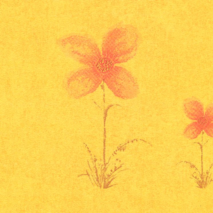 Flor Dorado