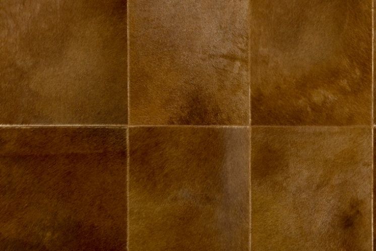 Rectangle 33507