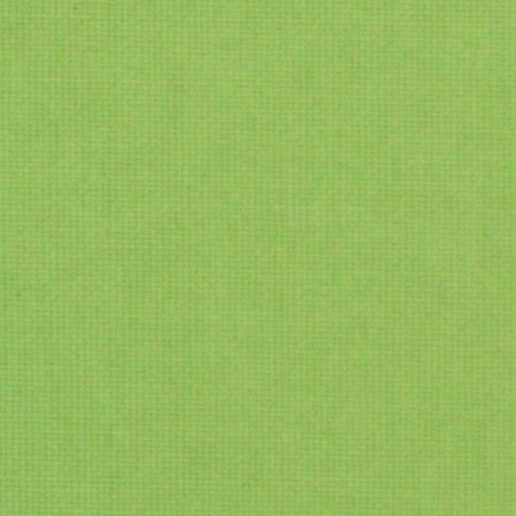 MUENCHEN BO VERDE MANZANA