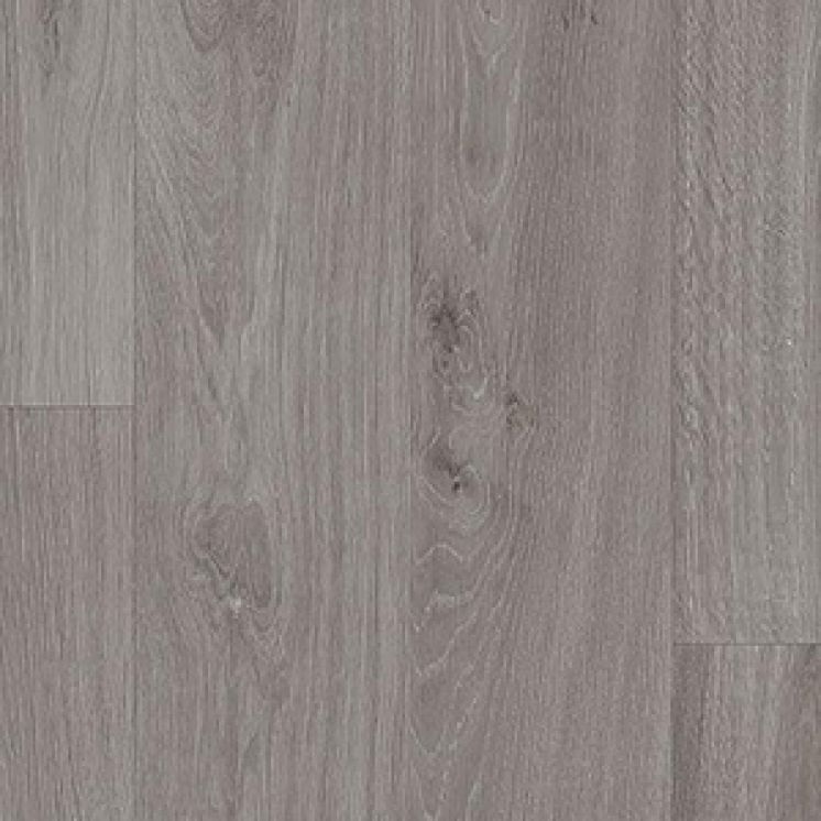 Sarlon Chene Argente