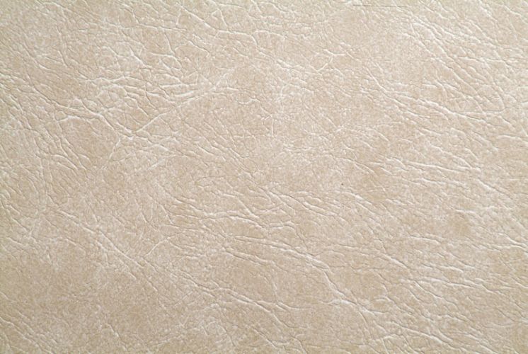 Europa - Bone