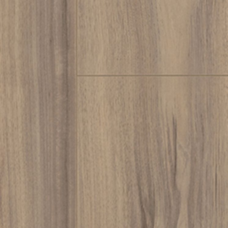Hickory 1ST 37480 AV
