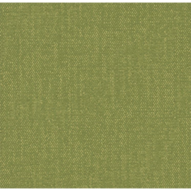 Color Frame Hyper Green