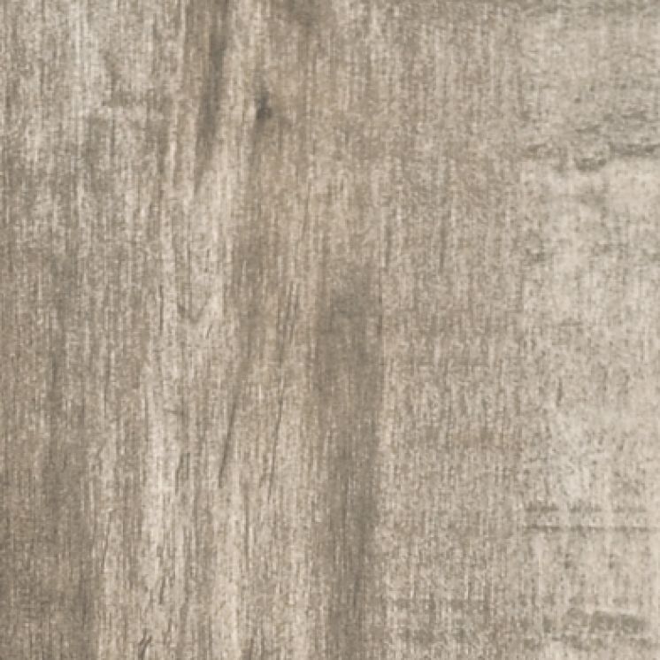 Origen 8,3 mm Lenga