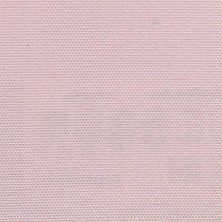 BERLIN BO ROSA