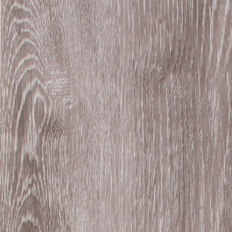 Vegas Oak Castor