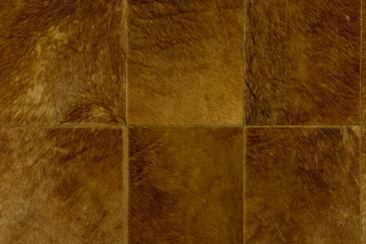 Rectangle 33502