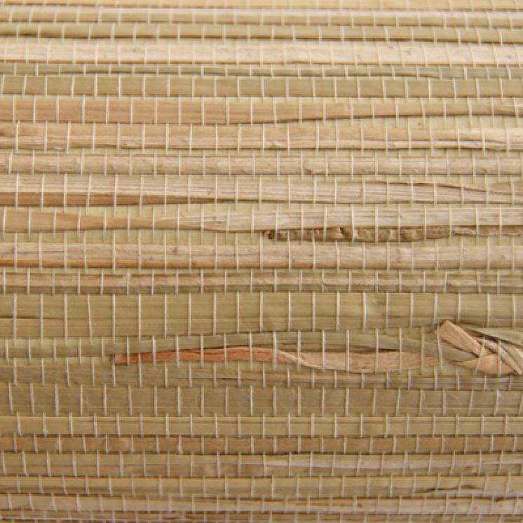 FIBRA SANCHO FIBER