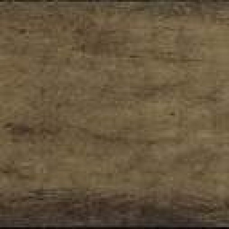 Borneo Cappuccino 9018-1